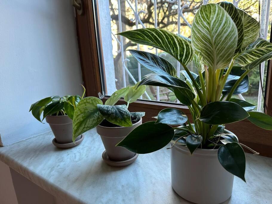 Ferienwohnung Stary Mokotow, Z Ogrodkiem Warschau Exterior foto